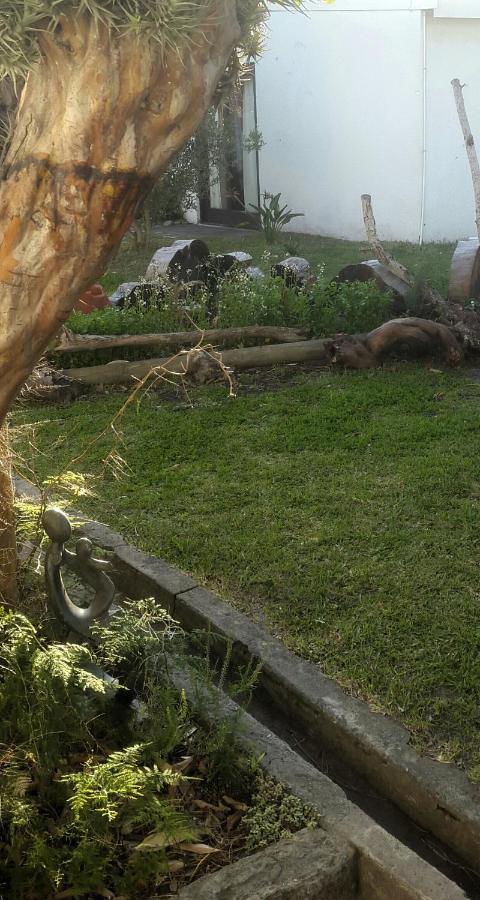 הוילה Hermanus Flower House מראה חיצוני תמונה
